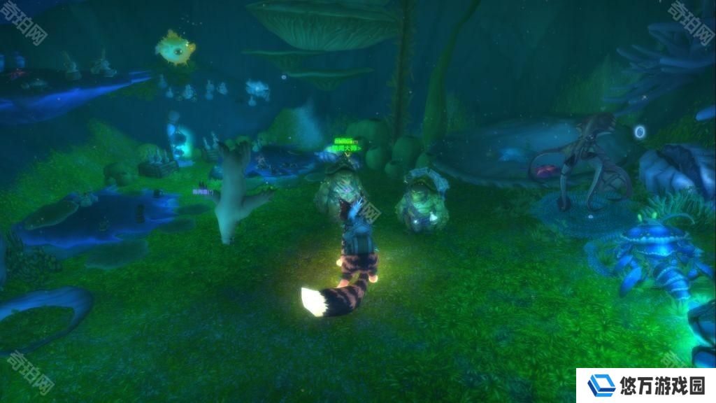 魔兽世界20周年全庆典箱子位置坐标
