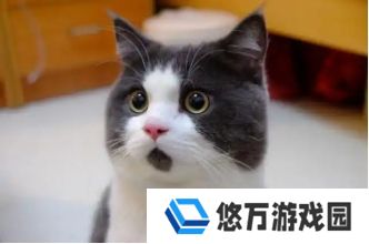 逆水寒2